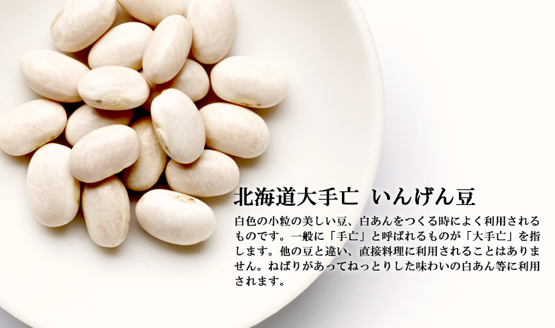 北海道大手亡　白いんげん豆
